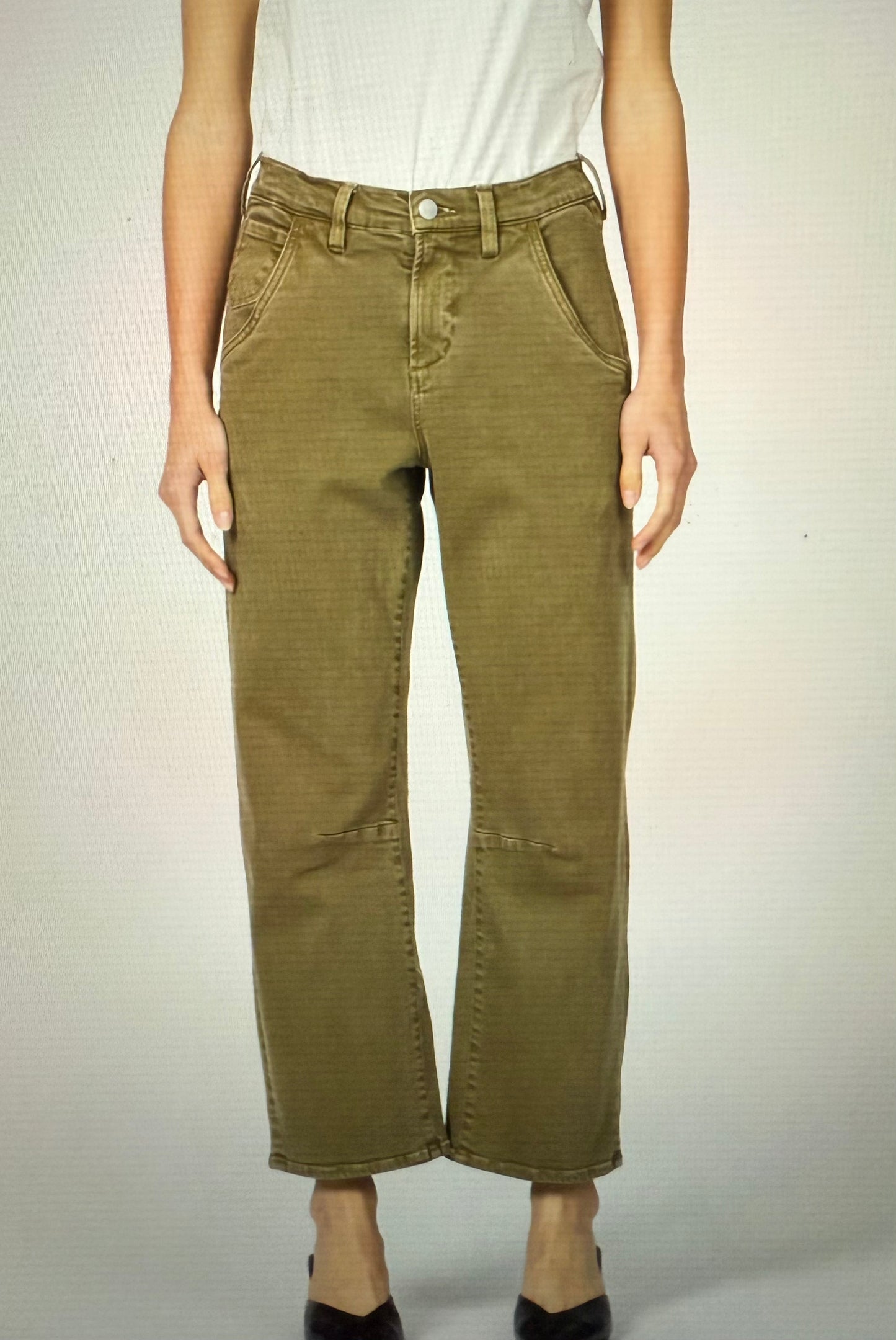 Lasso Olive Branch