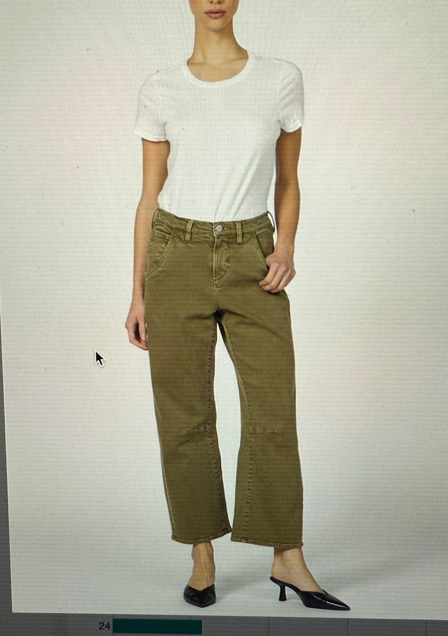 Lasso Olive Branch