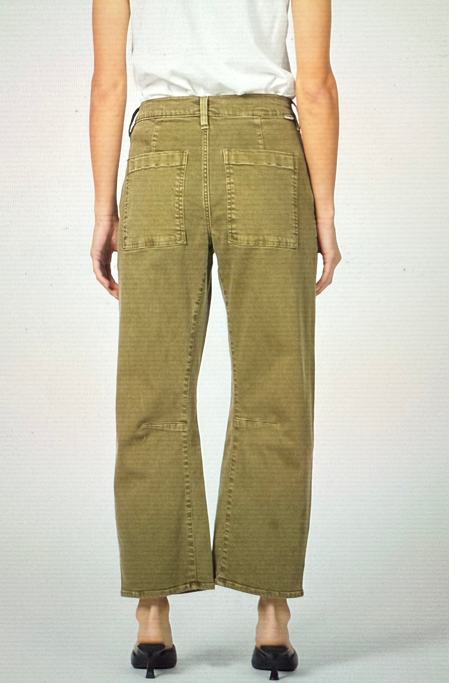 Lasso Olive Branch