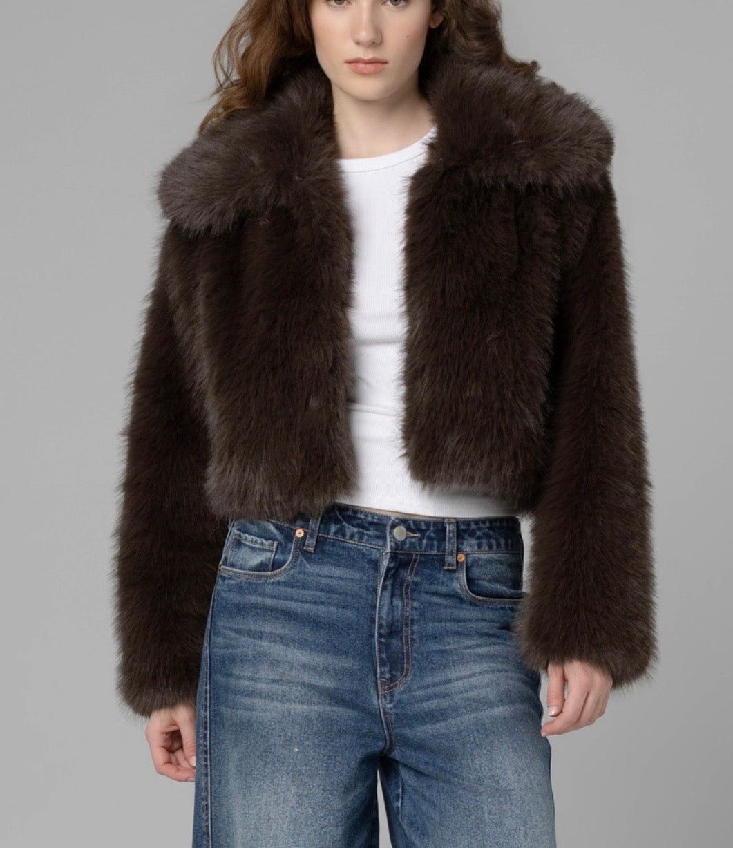 Steady Rise Fun Fur