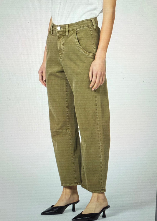 Lasso Olive Branch
