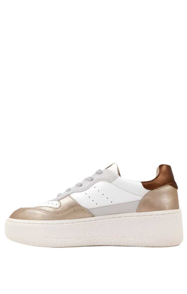 Sheena Sneaker / Gold